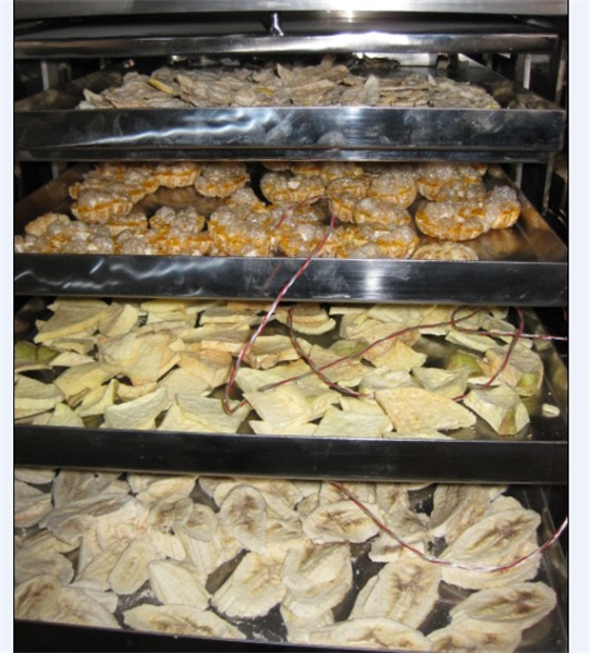 冷凍干燥機(jī)在食品凍干加工中需要注意哪些細(xì)節(jié)？